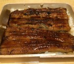 うな丼
