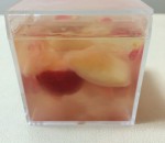 フルーツゼリー