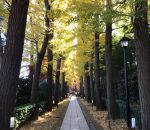 太田黒公園