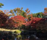 太田黒公園２