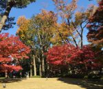 太田黒公園３